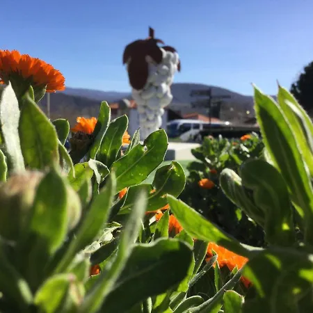 Casa Turistica Viladonatus * Doade