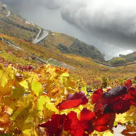 Holiday home Casa Turistica Viladonatus *