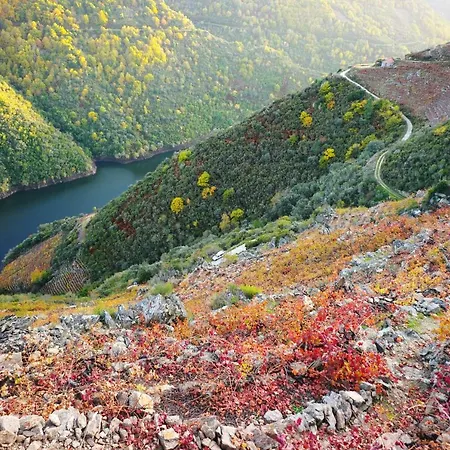 Casa Turistica Viladonatus