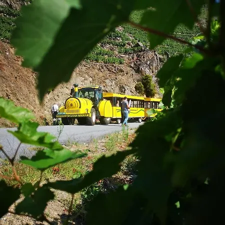 度假居 Casa Turistica Viladonatus *