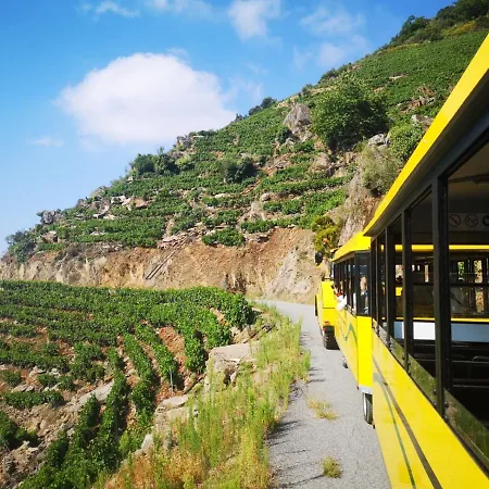 بيت للعطل Casa Turistica Viladonatus