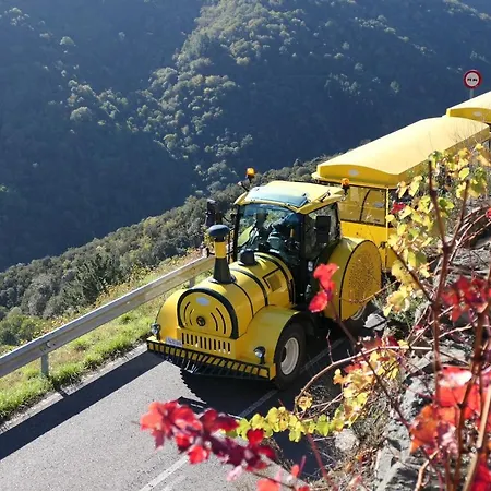 Casa Turistica Viladonatus * Doade