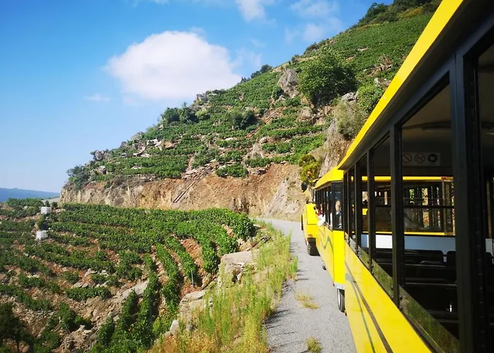 بيت للعطل Casa Turistica Viladonatus