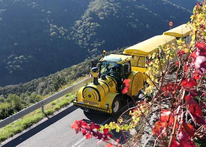 Casa Turistica Viladonatus * Doade