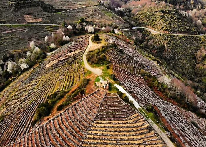 Casa Turistica Viladonatus Doade